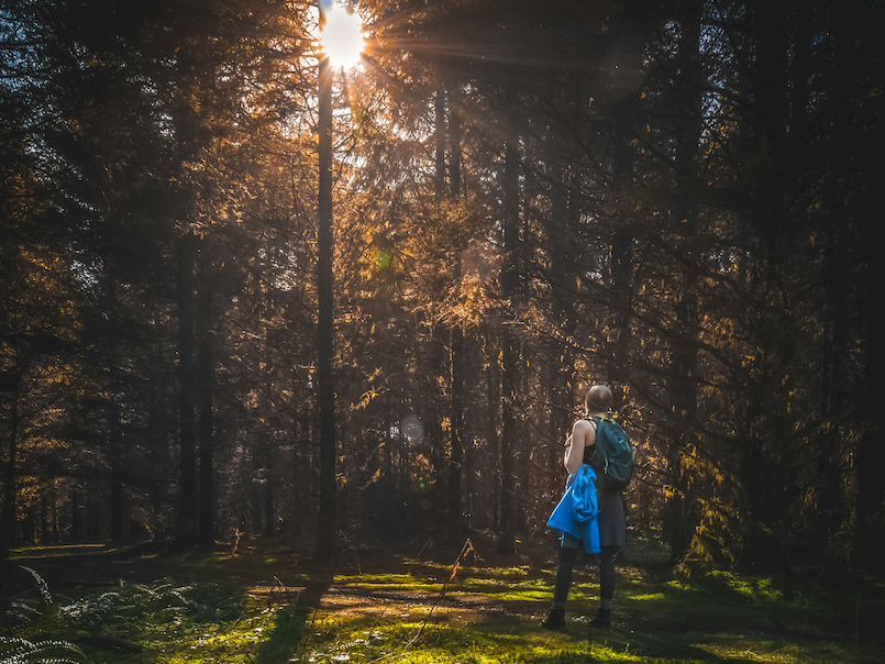 Woman walking into a forest towards shining sun